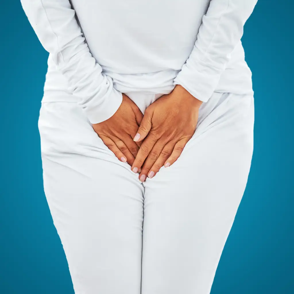 ZImmer applicazione Pavimento pelvico ZImmer applicazione Pavimento pelvico